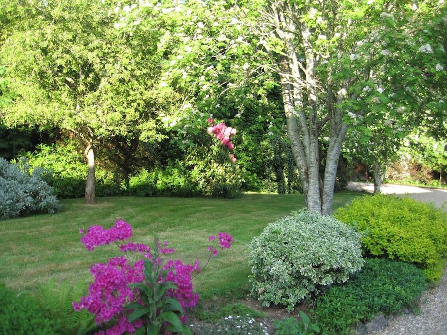 Self Catering Apartment At Beechwalk House. Enniskerry Buitenkant foto