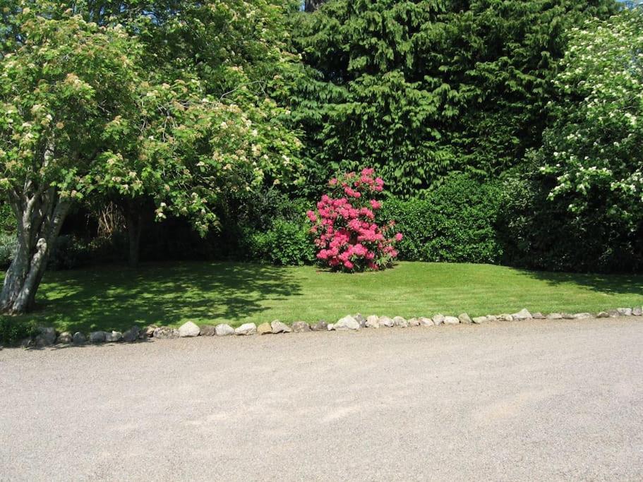 Self Catering Apartment At Beechwalk House. Enniskerry Buitenkant foto
